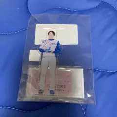 日ハム玉井大翔 可愛いシリーズアクスタ