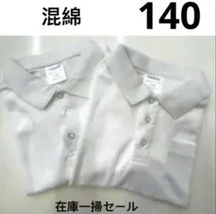 Item thumbnail for item b2f13574-1e7e-4684-bb28-dbe20efc0e83