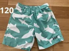 ヘリーハンセン　水着　男の子　120