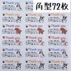 Item thumbnail for item 6a802e27-5237-4cf2-9342-fc5f13e4c5a9