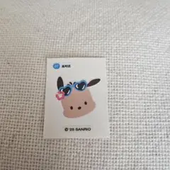 オリーブヤング　サンリオコラボシール　ポチャッコ　タンニングキャラクター