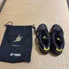 バドミントンシューズ　リンダン　リンダンモデル