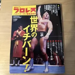 週刊プロレス ハルク•ホーガン緊急追悼号