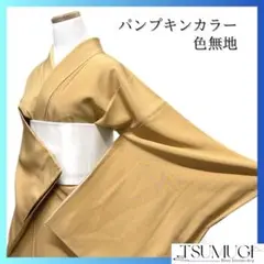 未着用　色無地　橙色　パンプキン　パーティー　お茶会　着物　021a d