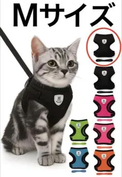 Item thumbnail for item bdc31f16-ef0f-4b1e-869d-782957dddcf3