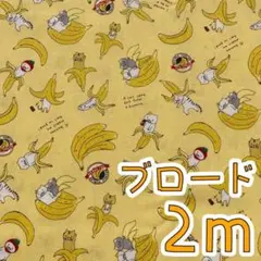 【SALE】ブロード2ｍ　バナナにゃんこ　コットンこばやし