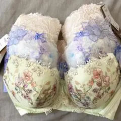 Item thumbnail for item b1211b9b-3d85-45ea-a924-3d23a37f43fa