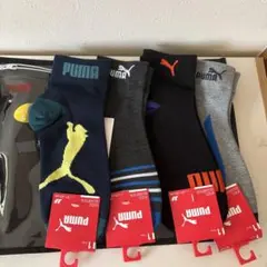 Item thumbnail for item c9cda9a6-0f99-4184-869b-d42bf86d4a44