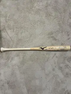 Item thumbnail for item 42d912cc-1cfa-40f6-8e31-ff095252b683