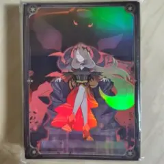 ポケモン シロナ スリーブ 約60枚 67×92mm ホロ加工