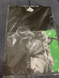 Item thumbnail for item ac2ff710-e431-432f-9f0e-c4d9f2c6f355