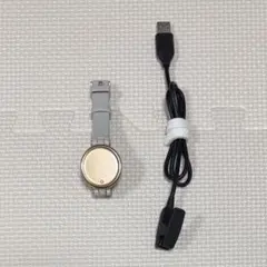 GARMIN Lily Sport