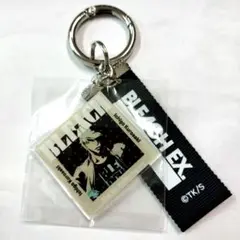 BLEACH レコード アクキー 一護