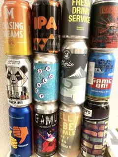【即決購入歓迎】クラフトビール　空き缶　12本セット　海外