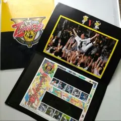 ★2003年メモリアル★阪神タイガース