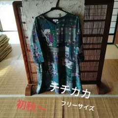 Item thumbnail for item f87d56d4-dbb4-4494-bc15-8438a3d97af4