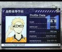 ハイキュー 月島蛍 プロフィールカードキーホルダー シークレット