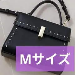 CELFORD セルフォード リュタン ビジュースタッズポシェット　Мサイズ 黒