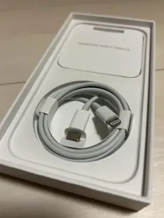 iPhone 純正　Lightning for C-type 2個セット