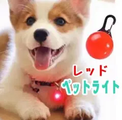 犬 ライト 首輪 リード ペット LED セーフティライト 散歩 レッド