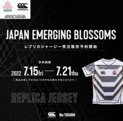 2025年最新】エマージングブロッサムの人気アイテム - メルカリ