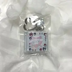 CD風キーホルダー　シナモン