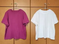 【未使用】大きいサイズ3L　パープル&ホワイト 半袖Tシャツ 2枚　綿100%
