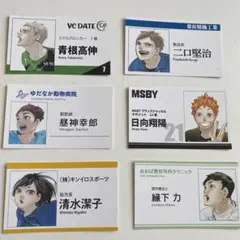 ハイキュー　ファンパーク　名刺カードコレクション