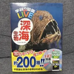 深海生物