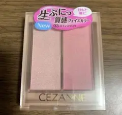 Item thumbnail for item 039cbf40-afc6-4f51-ac1c-7e67c490a674