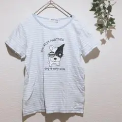 【BUZZ FUZZ by BEBE】水色ボーダー柄　Tシャツ 犬　140cm