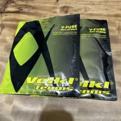 テニスのガット