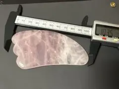 Item thumbnail for item 972c1f29-dafa-43f5-8fb2-e6ec8d49746d