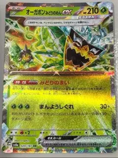 オーガポンみどりのめんex RR ポケモンカード sv8a