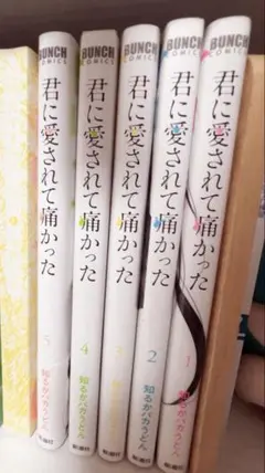 君に愛されて痛かった 1-5巻セット