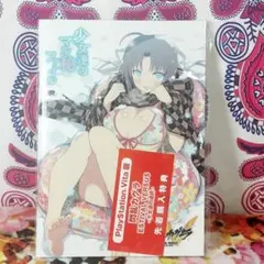 PS Vita 版　先着購入特典　閃乱カグラ　少女達のマル秘ファイル
