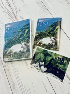 Item thumbnail for item a01f70f5-fe04-4f6b-aad5-8b8cb286e54b