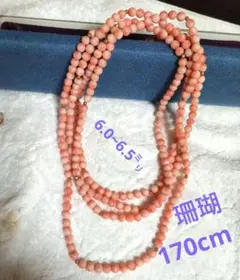 珊瑚 ロングネックレス