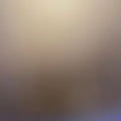 Item thumbnail for item 73716d2a-9bbd-49dc-a9f6-ff808e8079be