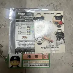 パワプロ×マリーンズ　アクリルキーホルダー　栄冠ナイン　種市