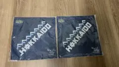 ファイターズ　スイングタオル　2枚セット
