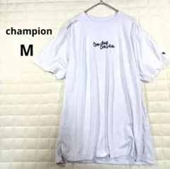 Item thumbnail for item b10f8411-784b-481f-96f0-29ceb0abdb6c