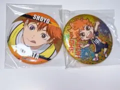 ハイキュー 日向 缶バッジ