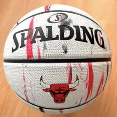 SPALDING バスケットボール5号 ブルズ