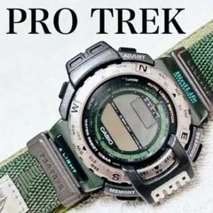 【ジャンク】カシオ プロトレック バードライフ PRT-40
