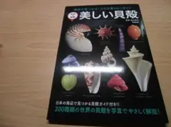 2025年最新】チマキボラの人気アイテム - メルカリ