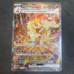 ポケモンカードゲーム ウィンディex 絵違い 海外 中国限定