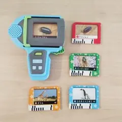 いきものかんさつゴー　こどもちゃれんじ　すてっぷ