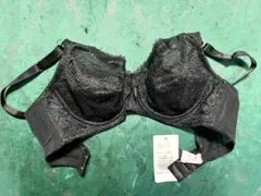 Item thumbnail for item 384378cc-4249-4d96-8b80-e2439a753ea2