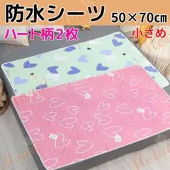 Item thumbnail for item 83b1f308-d69a-4501-b8ae-4c03f7122204